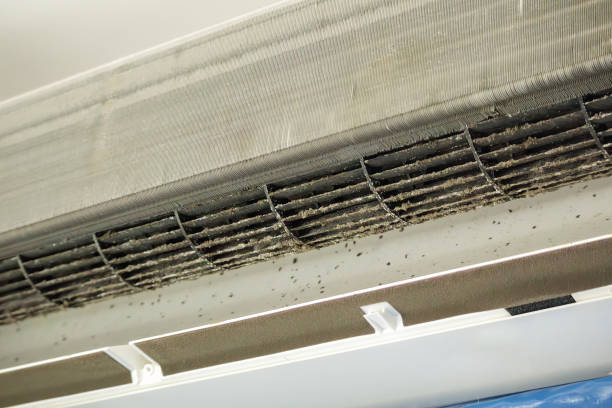 Best Dryer Vent Cleaning in USA